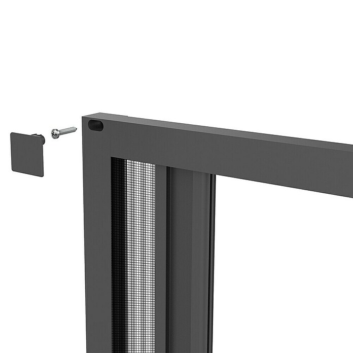 Windhager Insektenschutz-Türplissee Plus (B x H: 110 x 220 cm, Anthrazit) | BAUHAUS