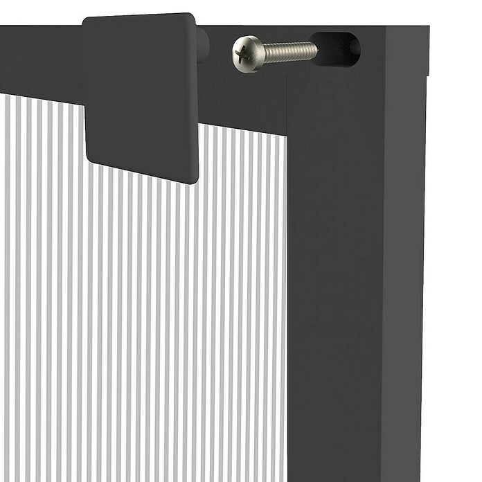 Windhager Insektenschutz-Türplissee Plus (B x H: 110 x 220 cm, Anthrazit) | BAUHAUS