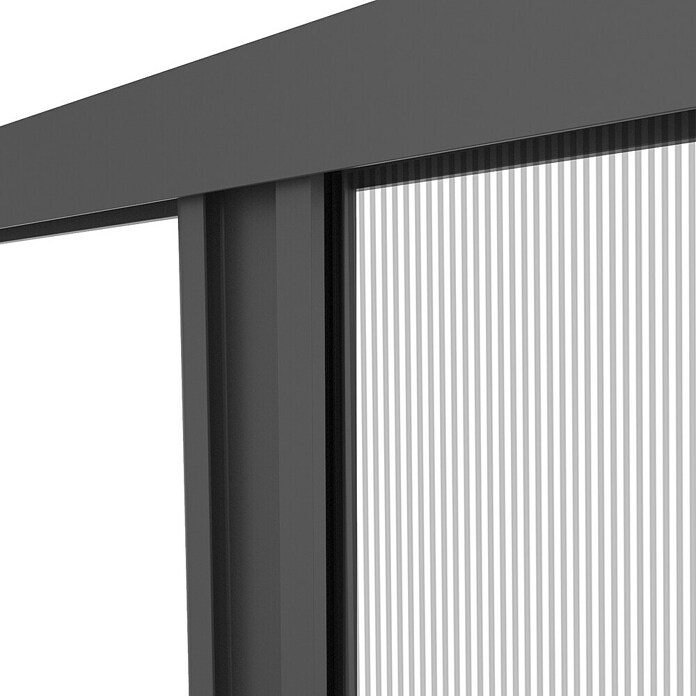 Windhager Insektenschutz-Türplissee Plus (B x H: 110 x 220 cm, Anthrazit) | BAUHAUS
