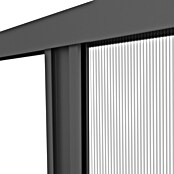 Windhager Insektenschutz-Türplissee Plus (B x H: 110 x 220 cm, Anthrazit) | BAUHAUS