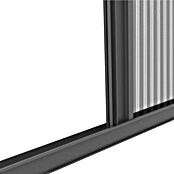 Windhager Insektenschutz-Türplissee Plus (B x H: 110 x 220 cm, Anthrazit) | BAUHAUS