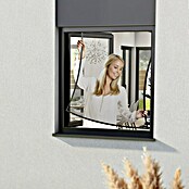 Windhager Insektenschutzgitter Pop-Up Screen (B x H: 100 x 120 cm, Montage Insektengitter: Klemmen, Anthrazit) | BAUHAUS