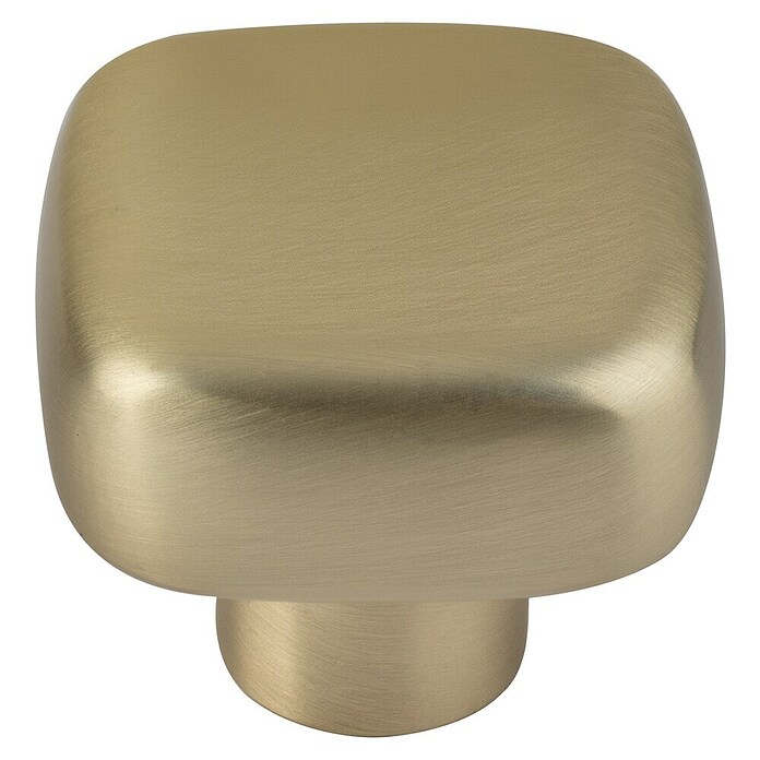 Walteco Meubelknop Tilly (l x b x h: 30 x 30 x 26 mm, Overige, Geborsteld messing) | BAUHAUS