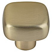 Walteco Meubelknop Tilly (l x b x h: 30 x 30 x 26 mm, Overige, Geborsteld messing) | BAUHAUS