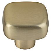 Walteco Meubelknop Tilly (l x b x h: 30 x 30 x 26 mm, Overige, Geborsteld messing) | BAUHAUS