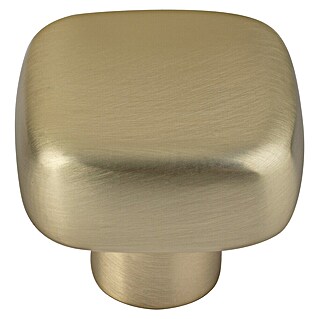 Walteco Meubelknop Tilly (l x b x h: 30 x 30 x 26 mm, Overige, Geborsteld messing)