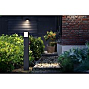 Philips Vanjska svjetiljka s postoljem Arbour  (3,8 W, Boja kućišta: Antracit, Topla bijela, 10 x 10 x 77 cm, S izvorom svjetlosti) | BAUHAUS