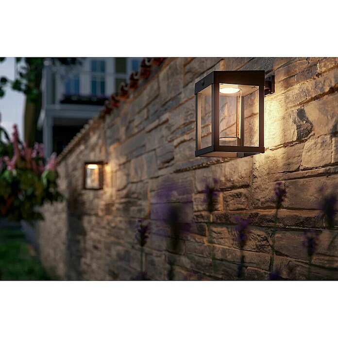 Philips Solarna vanjska zidna LED svjetiljka Camill, kvadratna  (1,4 W, Boja sjenila: Prozirno, IP44) | BAUHAUS