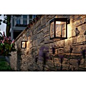 Philips Solarna vanjska zidna LED svjetiljka Camill, kvadratna  (1,4 W, Boja sjenila: Prozirno, IP44) | BAUHAUS