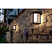 Philips Aplique solar LED para exterior Camill (1,4 W, 19 x 14 x 20,5 cm, Negro, IP44, Blanco cálido) | BAUHAUS