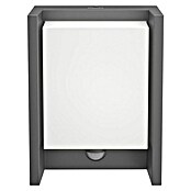 Philips LED-Sensor-Außenwandleuchte (3,8 W, 16,5 x 7,5 x 22 cm, Anthrazit, IP44) | BAUHAUS