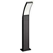 Philips Splay Vanjska svjetiljka s postoljem  (Boja kućišta: Antracit, Topla bijela, 12 x 16 x 60 cm, S izvorom svjetlosti) | BAUHAUS