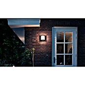 Philips Vanjska zidna LED svjetiljka Samondra  (3,8 W, IP44, Boja svjetla: Topla bijela) | BAUHAUS