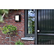 Philips LED zunanja stenska svetilka Arbour  (3,8 W, 16,5 x 7,5 x 22 cm, IP44) | 3078 - Wandleuchte Outdoor | CAJA - Outdoorleuchten Hochvolt | CAJ - Outdoorleuchten | CA - Beleuchtung | C - Elektro | BAUHAUS