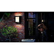 Philips LED zunanja stenska svetilka Arbour  (3,8 W, 16,5 x 7,5 x 22 cm, IP44) | 3078 - Wandleuchte Outdoor | CAJA - Outdoorleuchten Hochvolt | CAJ - Outdoorleuchten | CA - Beleuchtung | C - Elektro | BAUHAUS