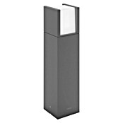 Philips Außensockelleuchte Arbour (Farbe Gehäuse: Anthrazit, Warmweiß, 10 x 10 x 40 cm, Mit Leuchtmittel) | BAUHAUS
