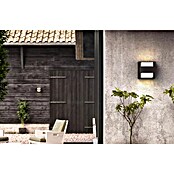 Philips Vanjska zidna LED svjetiljka Arbour  (3,8 W, 13 x 13 x 13 cm, IP44) | BAUHAUS