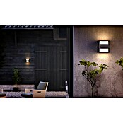 Philips Vanjska zidna LED svjetiljka Arbour  (3,8 W, 13 x 13 x 13 cm, IP44) | BAUHAUS