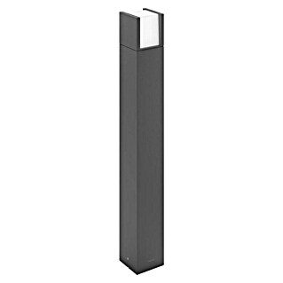 Philips Außensockelleuchte Arbour (3,8 W, Farbe Gehäuse: Anthrazit, Warmweiß, 10 x 10 x 77 cm, Mit Leuchtmittel)