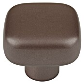 Walteco Meubelknop Tilly (l x b x h: 30 x 30 x 26 mm, Overige, Bruin) | BAUHAUS