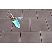 Seesteiner Terrassenplatte Holzoptik (50 x 50 x 3,8 cm, Nussbraun, Beton) | BAUHAUS