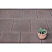 Seesteiner Terrassenplatte Holzoptik (50 x 50 x 3,8 cm, Nussbraun, Beton) | BAUHAUS