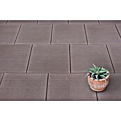 Seesteiner Terrassenplatte Holzoptik (50 x 50 x 3,8 cm, Nussbraun, Beton) | BAUHAUS