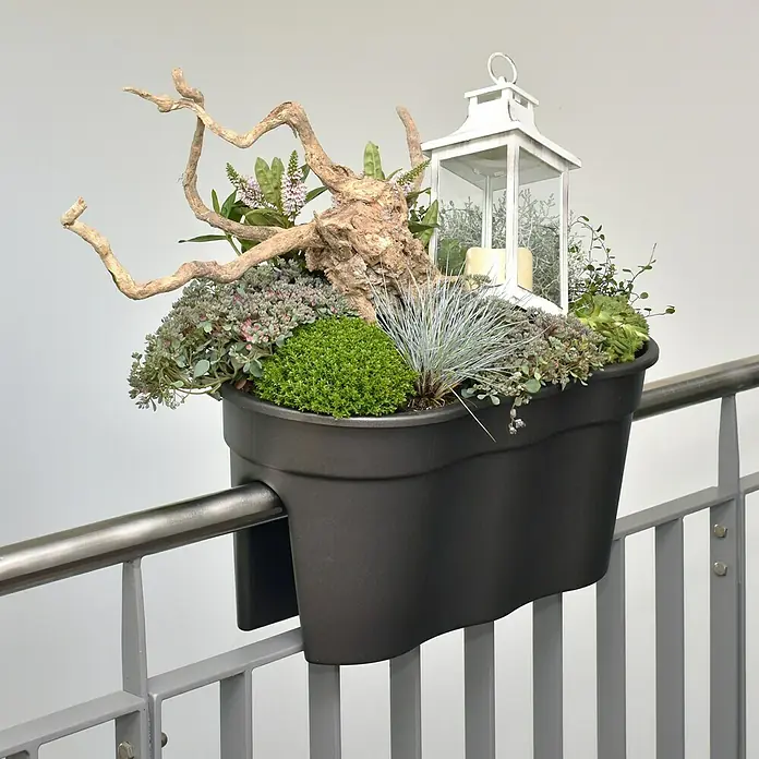 KHW Gelnderkasten Flowerclip XL - Auenma (L x B x H): 57,5 x 27,7 x 27,5  cm, Kunststoff, Anthrazit online kaufen bei BAUHAUS