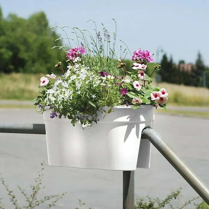KHW Geländerkasten Flowerclip XL - Außenmaß (L x B x H): 57,5 x 27,7 x 27,5 cm, Kunststoff, Weiß - Blumenkasten mit üppiger Bepflanzung hängt an einem Geländer und bringt Farbe in den Außenbereich. Die weiße Farbe des Kastens harmoniert perfekt mit den bunten Blumen.