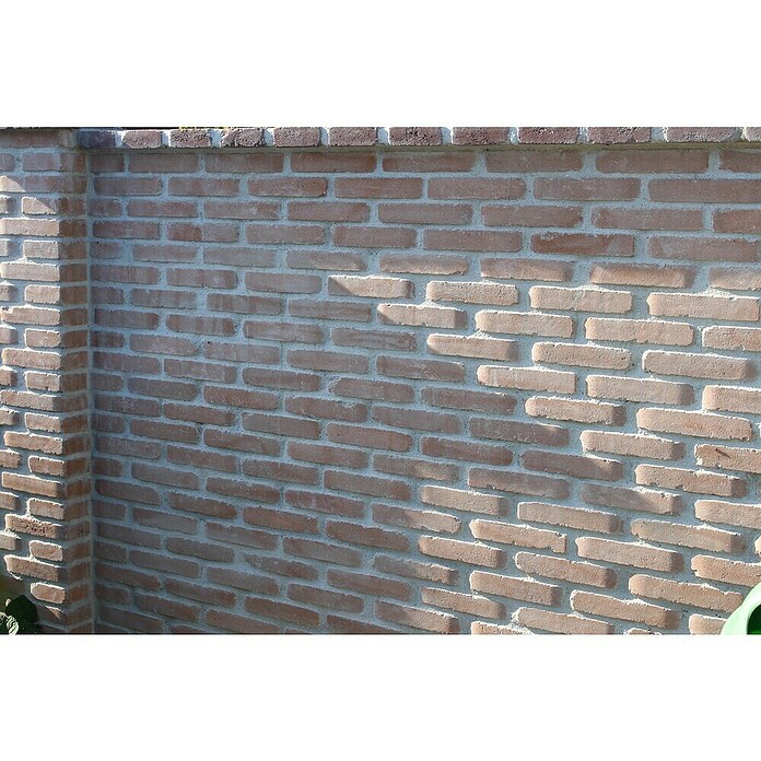 Seesteiner Pflasterstein (L x B x H: 26 x 15,6 x 5 cm, Beton, Englisch Ziegel) | BAUHAUS