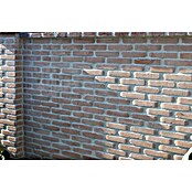 Seesteiner Pflasterstein (L x B x H: 26 x 15,6 x 5 cm, Beton, Englisch Ziegel) | BAUHAUS