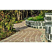 Seesteiner Pflasterstein (L x B x H: 26 x 15,6 x 5 cm, Beton, Belgisch Klinker) | BAUHAUS