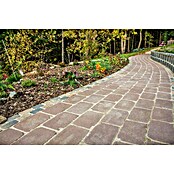Seesteiner Pflasterstein (L x B x H: 26 x 15,6 x 5 cm, Beton, Belgisch Klinker) | BAUHAUS