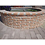 Seesteiner Pflasterstein (L x B x H: 26 x 15,6 x 5 cm, Beton, Englisch Ziegel) | BAUHAUS