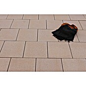 Seesteiner Terrassenplatte Kristal (L x B x S: 40 x 40 x 3,8 cm, Gelb, Beton) | BAUHAUS