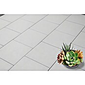Seesteiner Terrassenplatte Kristal (40 x 40 x 3,8 cm, Weiß, Beton) | BAUHAUS