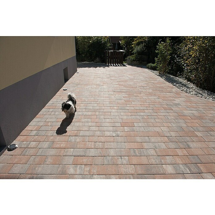 Seesteiner Pflasterstein Mehrformatpflaster Trend (Muschelkalk, Höhe: 6 cm, Beton, 1,08 m²)