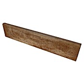 Seesteiner Rasenkante Piazza (100 x 20 x 5 cm, Sandstein, Beton) | BAUHAUS