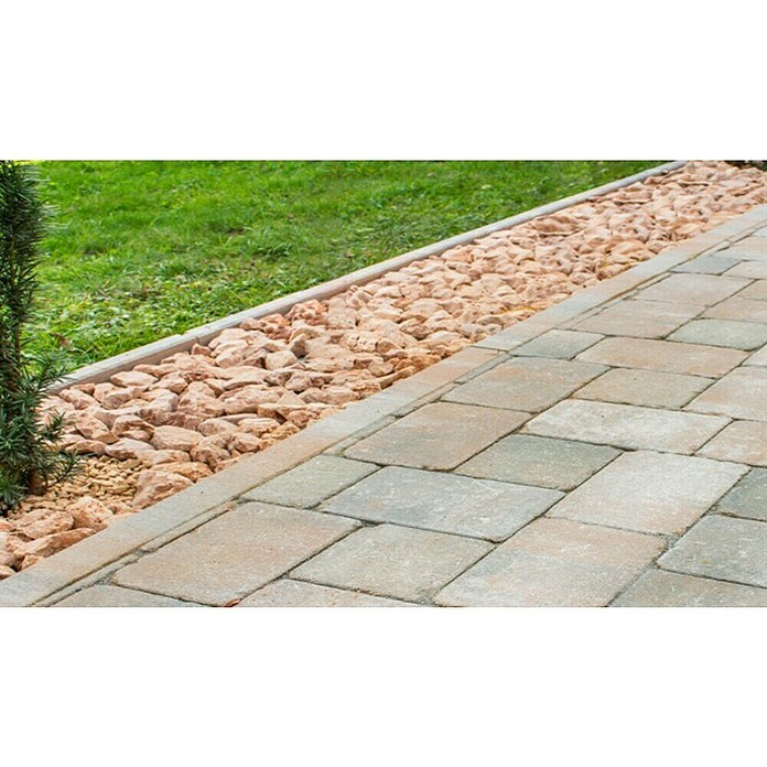 Seesteiner Rasenkante Piazza (Muschelkalk, L x B x H: 100 x 20 x 5 cm, Beton)