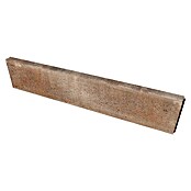 Seesteiner Rasenkante Piazza (Muschelkalk, L x B x H: 100 x 20 x 5 cm, Beton)