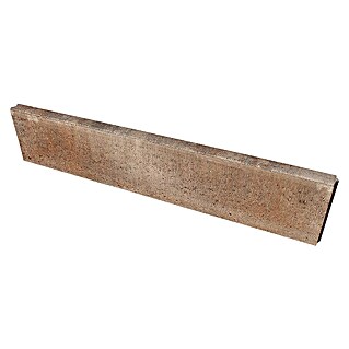 Seesteiner Rasenkante Piazza (Muschelkalk, L x B x H: 100 x 20 x 5 cm, Beton)