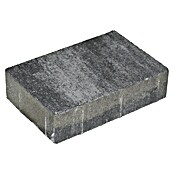 Pflasterstein Piazza (L x B x S: 22,5 x 15 x 5 cm, Anthrazit, Beton)