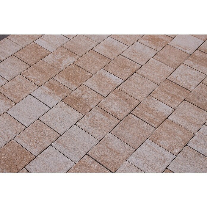 Seesteiner Pflasterstein Piazza (L x B x S: 22,5 x 15 x 5 cm, Sandstein schattiert) | BAUHAUS