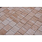 Seesteiner Pflasterstein Piazza (L x B x S: 22,5 x 15 x 5 cm, Sandstein schattiert) | BAUHAUS