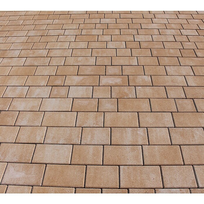 Seesteiner Pflasterstein Piazza (L x B x S: 22,5 x 15 x 5 cm, Sandstein schattiert) | BAUHAUS