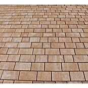 Seesteiner Pflasterstein Piazza (L x B x S: 22,5 x 15 x 5 cm, Sandstein schattiert) | BAUHAUS