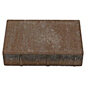 Seesteiner Pflasterstein Piazza (L x B x S: 22,5 x 15 x 5 cm, Sandstein schattiert) | BAUHAUS