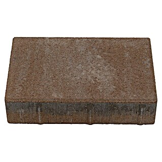 Seesteiner Pflasterstein Piazza (L x B x S: 22,5 x 15 x 5 cm, Sandstein, Beton)
