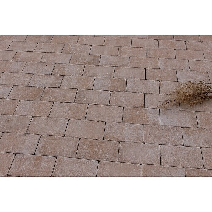 Seesteiner Pflasterstein Piazza Antik (L x B x S: 22,5 x 15 x 5 cm, Sandstein, Beton, Kantenverarbeitung: Gebrochen) | BAUHAUS