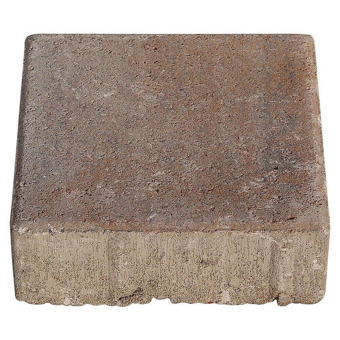 Seesteiner Pflasterstein Piazza Antik (L x B x S: 15 x 15 x 5 cm, Muschelkalk, Beton) | BAUHAUS